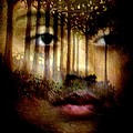 Gaia