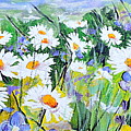 floral field