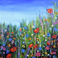 Why Not Wildflowers